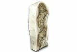 Freestanding Polished Striped Flint - Poland #377993-2
